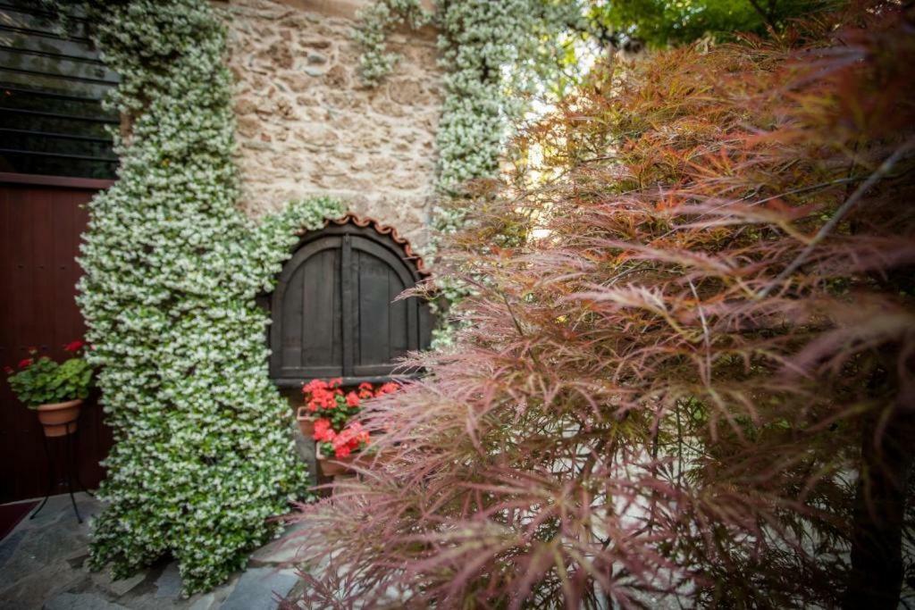 Boutique Hotel Palea Poli Naousa  Exterior photo